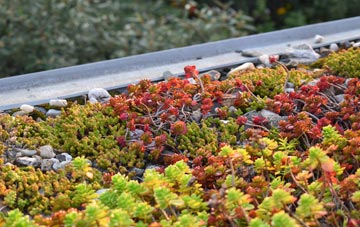 the cost of Town Littleworth green roof installation